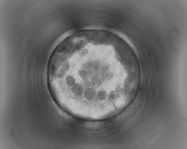 X0000113371237200910061054