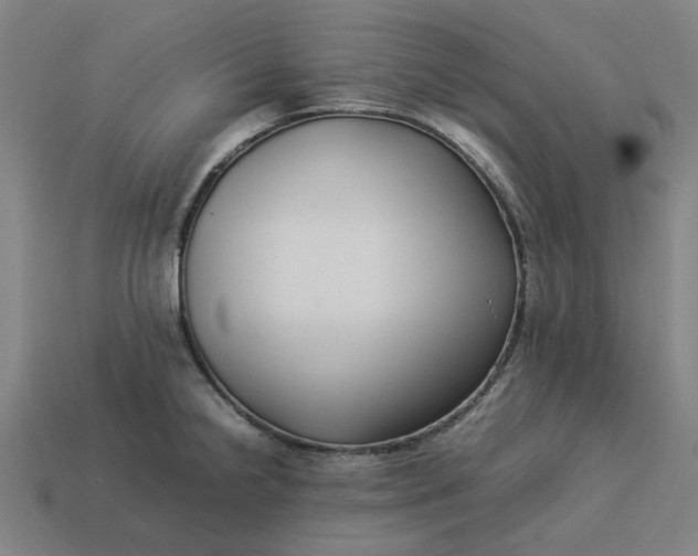 X0000113371238200910061054