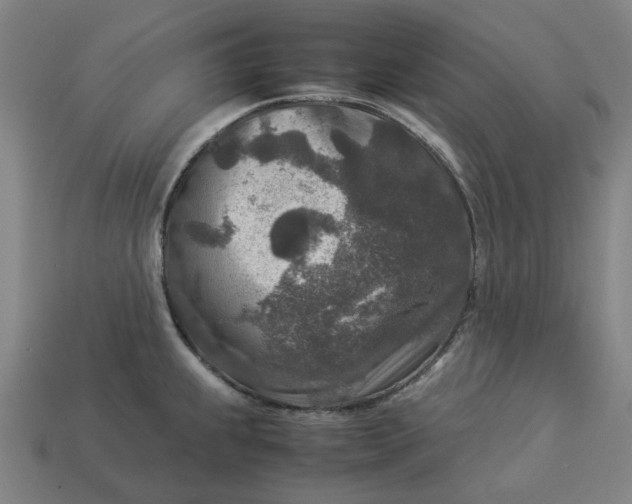 X0000113371239200910061054