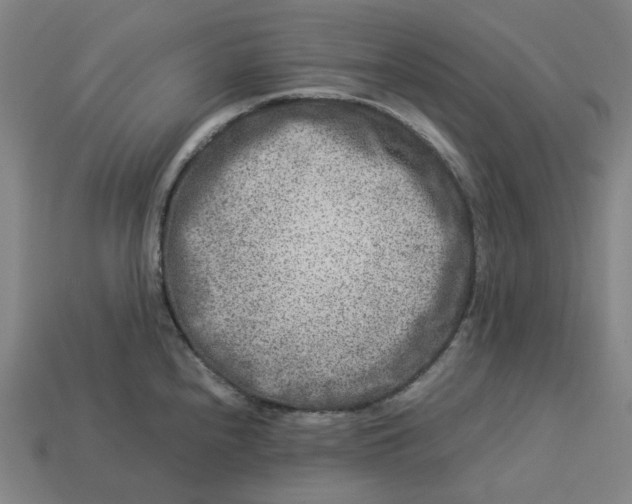 X0000113371240200910061054