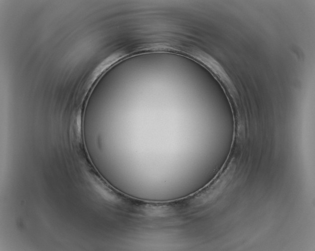 X0000113371242200910061054