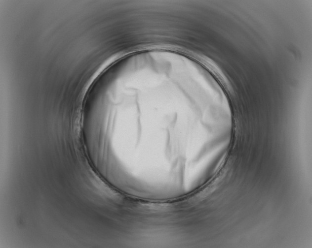 X0000113371244200910061054