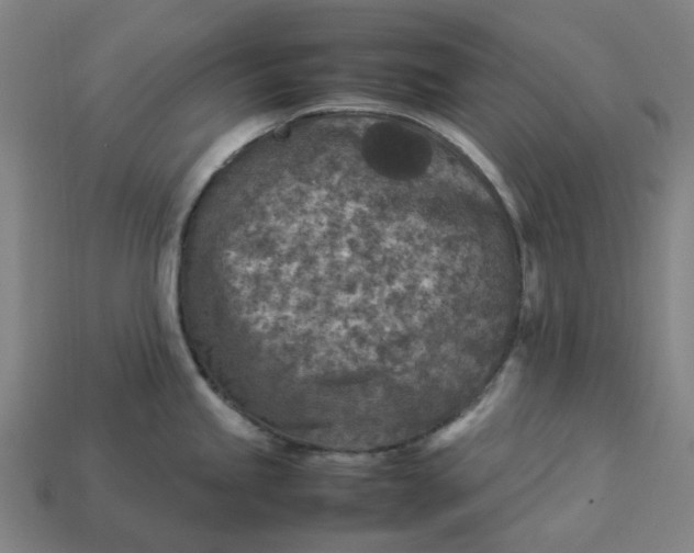 X0000113371245200910061054