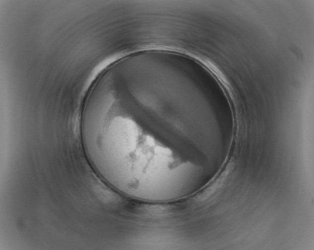 X0000113371246200910061054