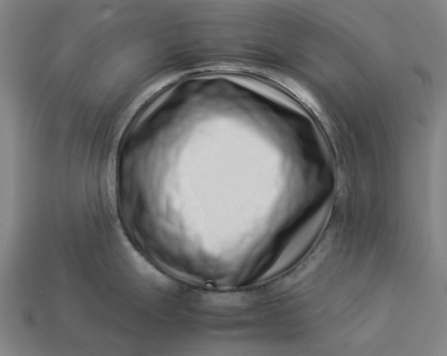 X0000113371247200910061054