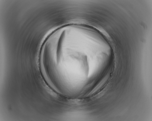 X0000113371248200910061054