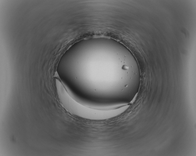 X0000113371249200910061053