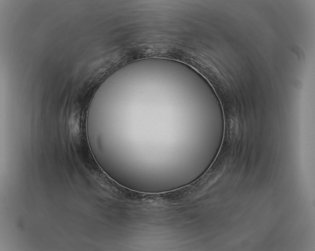 X0000113371250200910061053