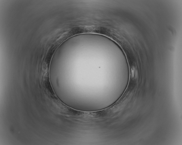 X0000113371251200910061053