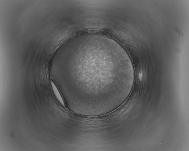 X0000113371252200910061053