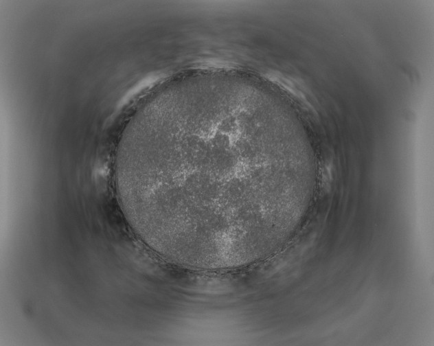 X0000113371254200910061053