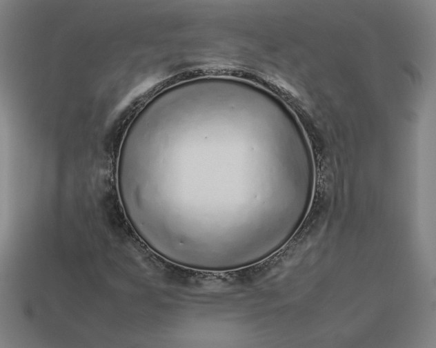 X0000113371255200910061053