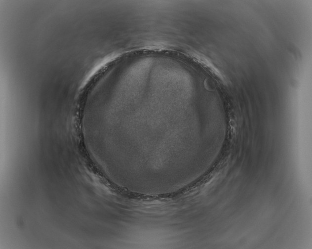 X0000113371256200910061053