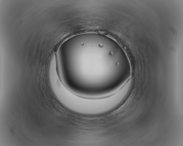 X0000113371257200910061053