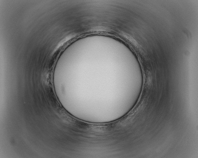 X0000113371258200910061053