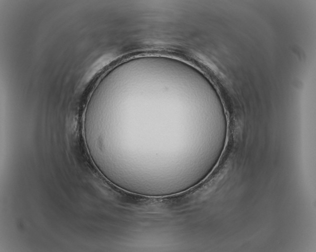 X0000113371259200910061053