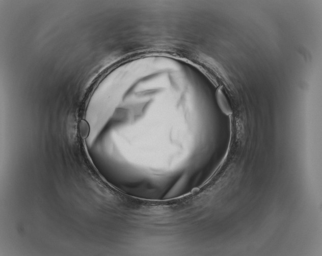 X0000113371260200910061053