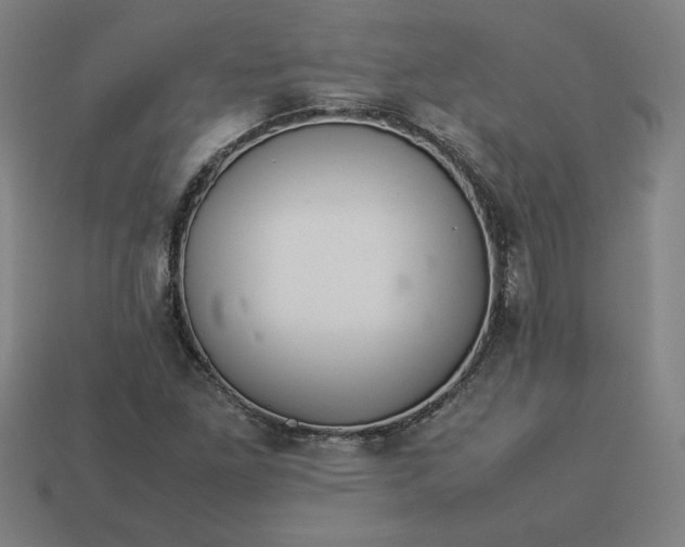 X0000113371261200910061053