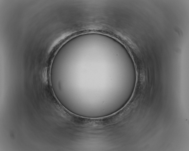 X0000113371262200910061053