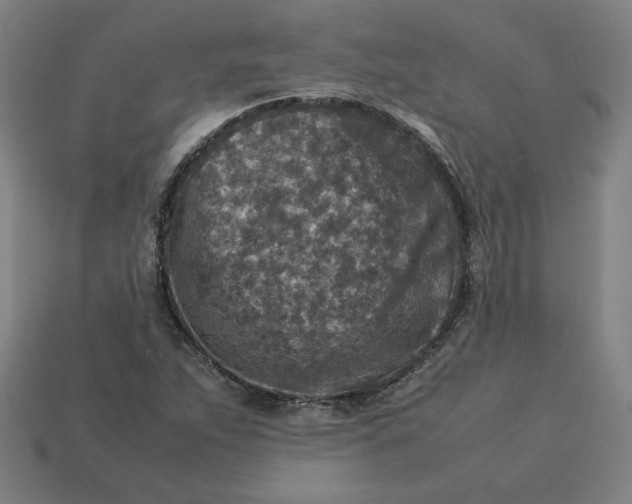 X0000113371263200910061053