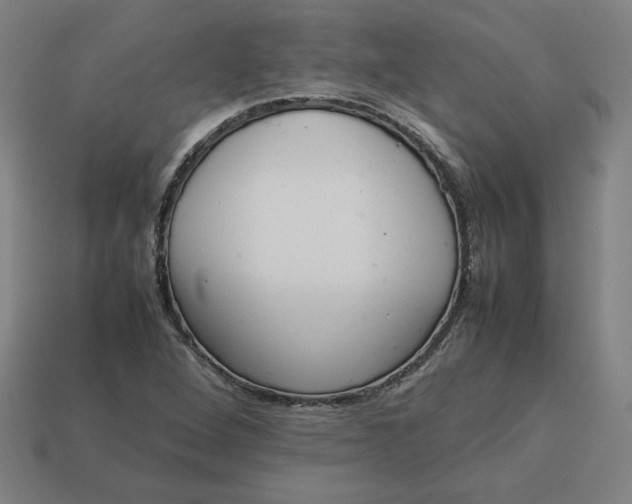 X0000113371264200910061053