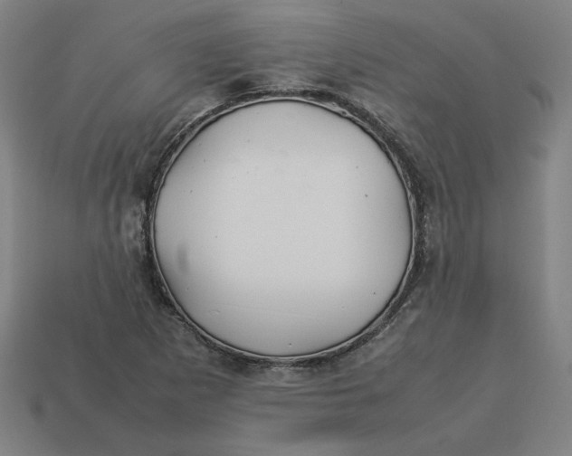 X0000113371265200910061053