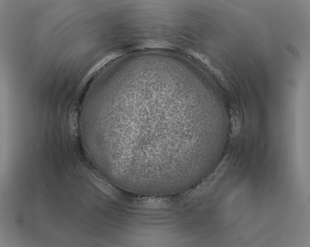 X0000113371266200910061053