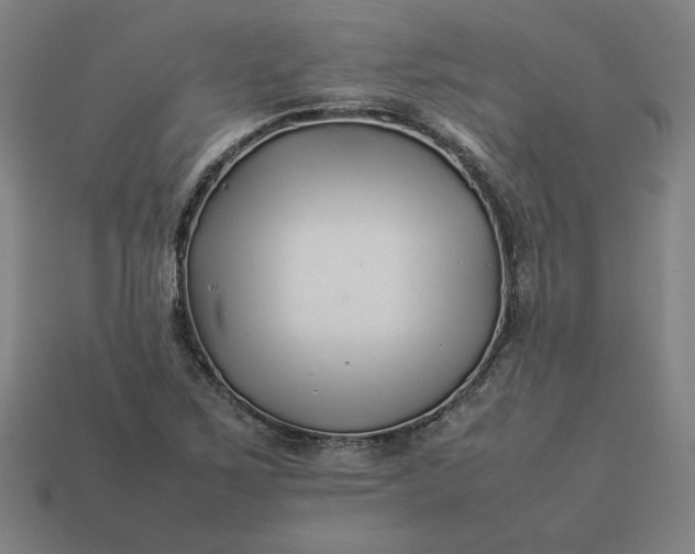 X0000113371267200910061053