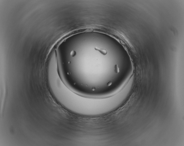 X0000113371268200910061053