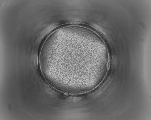 X0000113371269200910061053