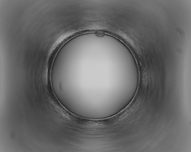 X0000113371270200910061053