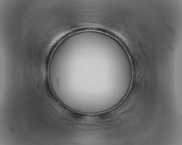 X0000113371271200910061053