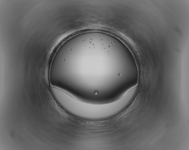 X0000113371272200910061053