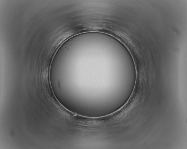 X0000113371273200910061053