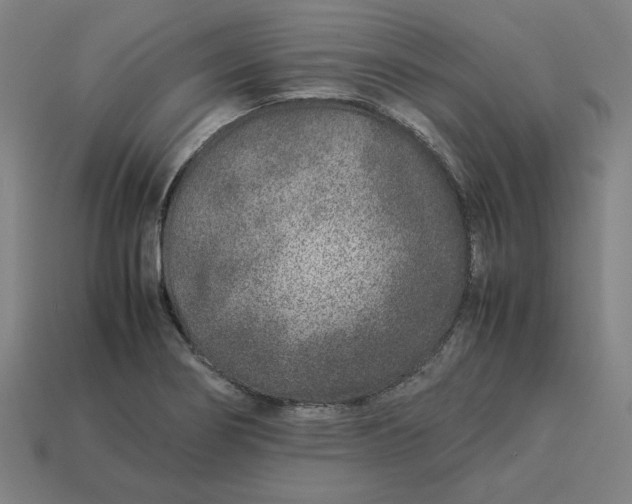 X0000113371274200910061053