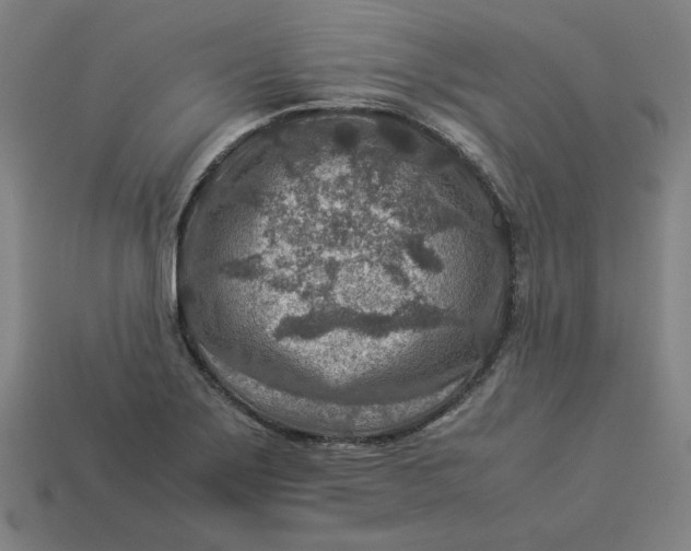 X0000113371275200910061053