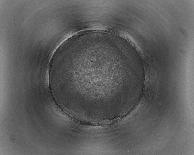 X0000113371276200910061053