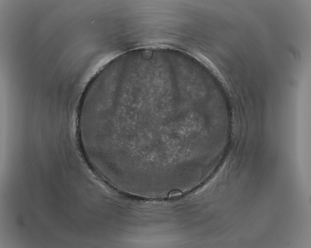 X0000113371277200910061053