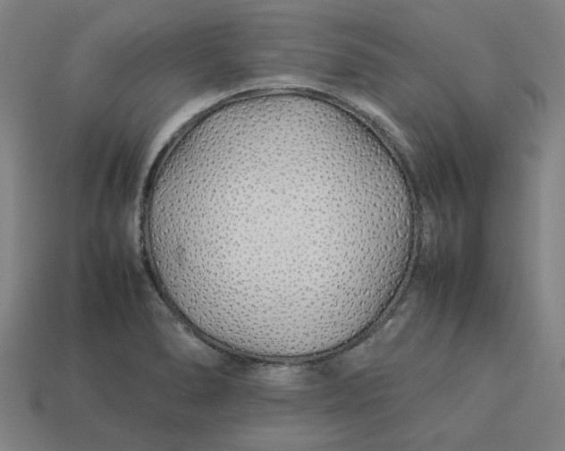 X0000113371278200910061053