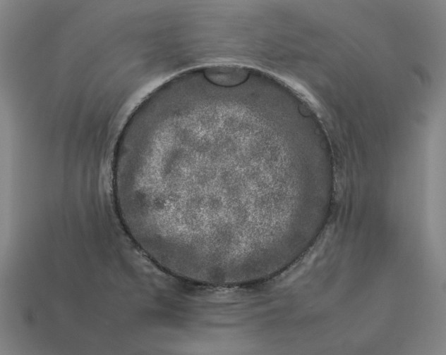 X0000113371279200910061053