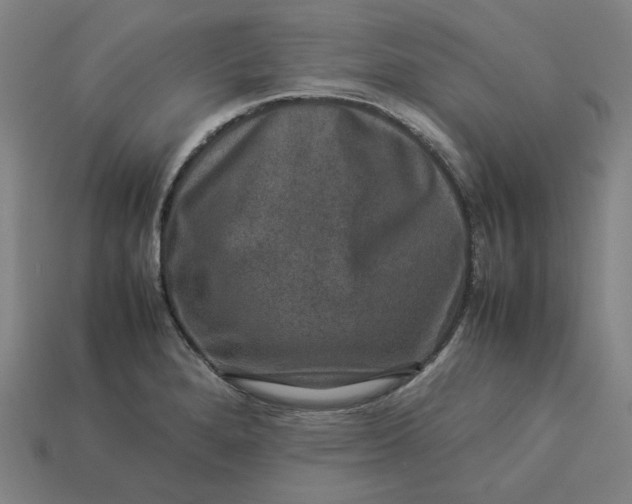 X0000113371280200910061053