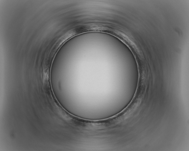 X0000113371281200910061053