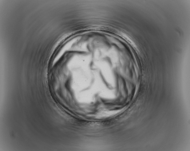 X0000113371283200910061053