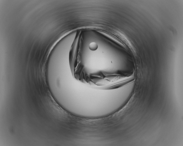 X0000113371284200910061053