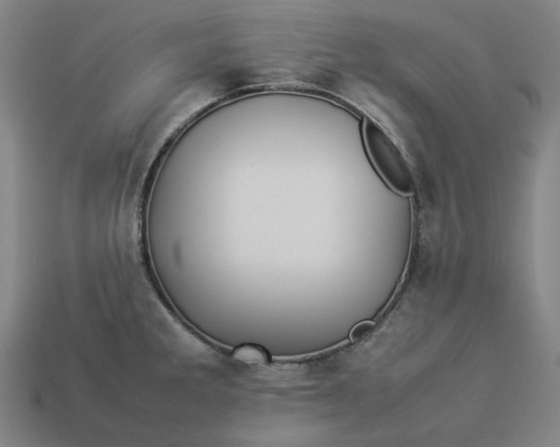 X0000113371285200910061053