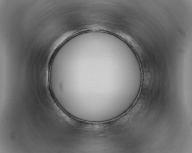 X0000113371286200910061053