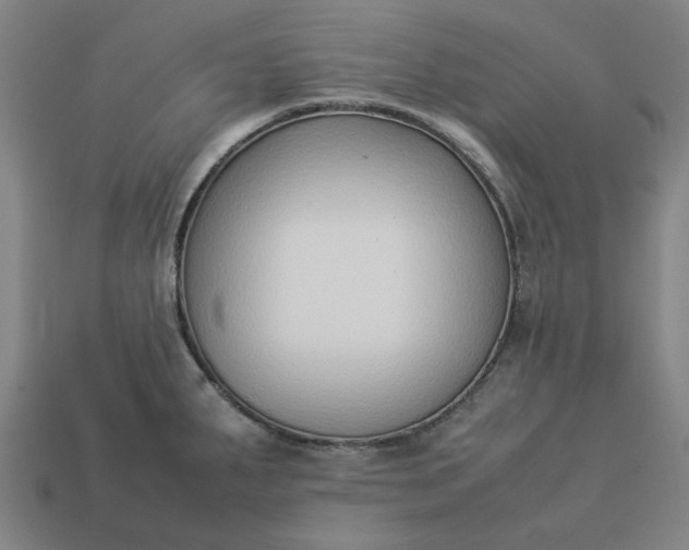 X0000113371287200910061053