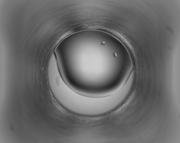 X0000113371289200910061053