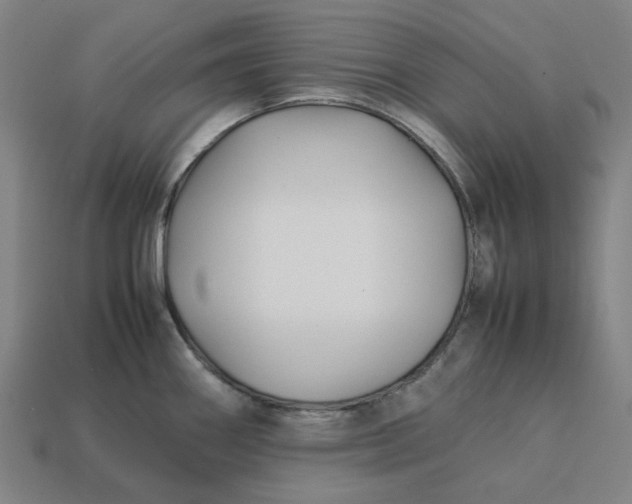 X0000113371290200910061053