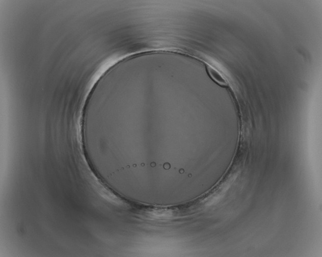 X0000113371291200910061053